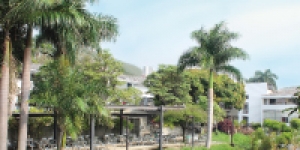 COMUNICADO DE LA DECANATURA