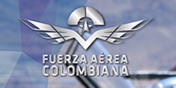 Ingenier&iacute;a y administraci&oacute;n, carreras convocadas para ingresar a la Fuerza A&eacute;rea Colombiana