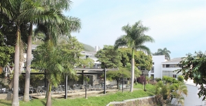 Da&ntilde;o en l&iacute;neas telef&oacute;nicas en el Campus San Fernando