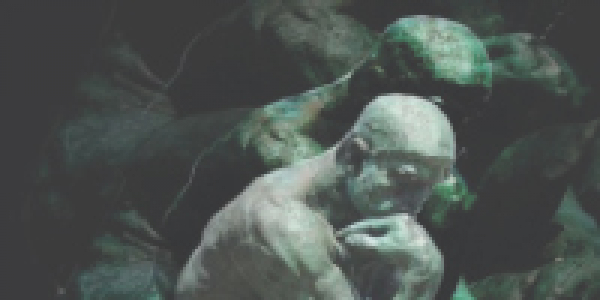 IX Seminario Internacional Nuevo Pensamiento Administrativo