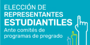 Convocatoria abierta para elecciones de representantes estudiantiles ante comit&eacute;s de programas de pregrado