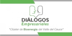 Energ&iacute;a del futuro &ldquo;Cl&uacute;ster de Bioenerg&iacute;a del Valle del Cauca&rdquo;