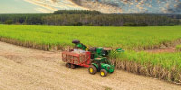 Competitividad y sostenibilidad de la agroindustria